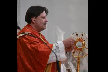 Nezapamćena tragedija tijekom svete mise: Svećenika ubola osa, preminuo je!