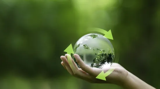 [KVIZ] Znate li kako pravilno reciklirati i spasiti planet?