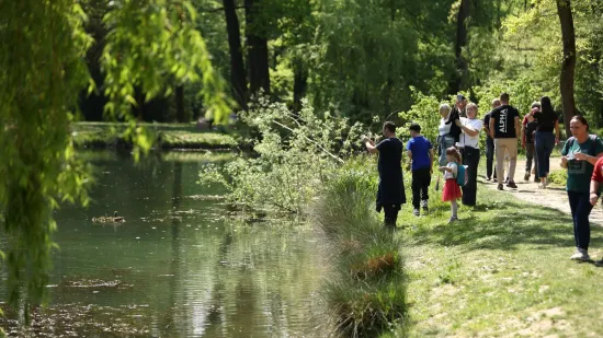 &Scaron;umari iz Zagreba otkrili gdje je najugodnije pobjeći od žege: Otkrili lokacije 'hladovine'