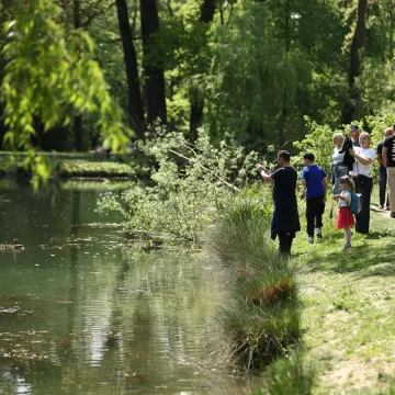 &Scaron;umari iz Zagreba otkrili gdje je najugodnije pobjeći od žege: Otkrili lokacije 'hladovine'