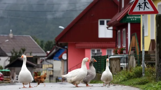 Dok ostatak Hrvatske 'gori', u ovom mjestu je jutros izmjereno samo 13 &deg;C!