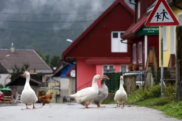 Dok ostatak Hrvatske 'gori', u ovom mjestu je jutros izmjereno samo 13 &deg;C!