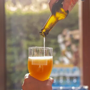 Srbi upali u probleme na njemačkom jezeru: Bebi i djetetu (3) dali pivo