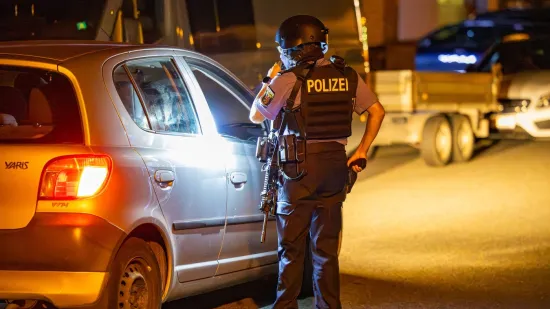 Kći mačetom napala oca i te&scaron;ko ga ozlijedila: Eskalirala obiteljska svađa
