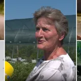 Vuk uznemirio Zagorce, stručnjaci zabrinuti: 'Ovo nije prirodno pona&scaron;anje'