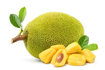 [KVIZ] Oku&scaron;ajte se na pitanjima o jackfruit voću i poku&scaron;ajte imati sve točno