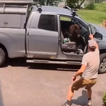 Otvorio kamionet i ugledao zvijer na suvozačkom sjedalu: &Scaron;iri se nevjerojatna snimka