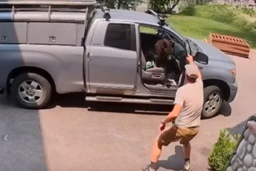 Otvorio kamionet i ugledao zvijer na suvozačkom sjedalu: &Scaron;iri se nevjerojatna snimka