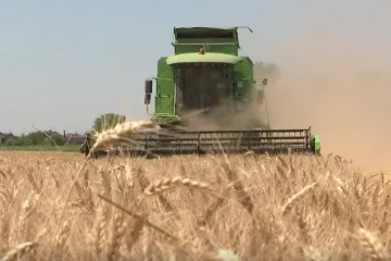 Te&scaron;ka sezona za ratare: Paklena žetva počela, ali računice nema! 'Trebaju nam novci'