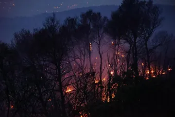 Lokaliziran požar na Čiovu: S vatrenom stihijom borilo se 150 vatrogasaca i četiri kanadera