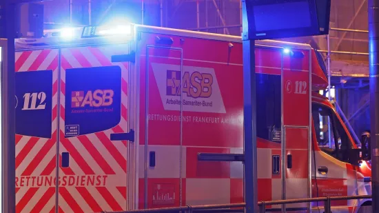 Užasna tragedija: Dječak (6) pao s 11 kata i poginuo, majka je bila s njim u stanu