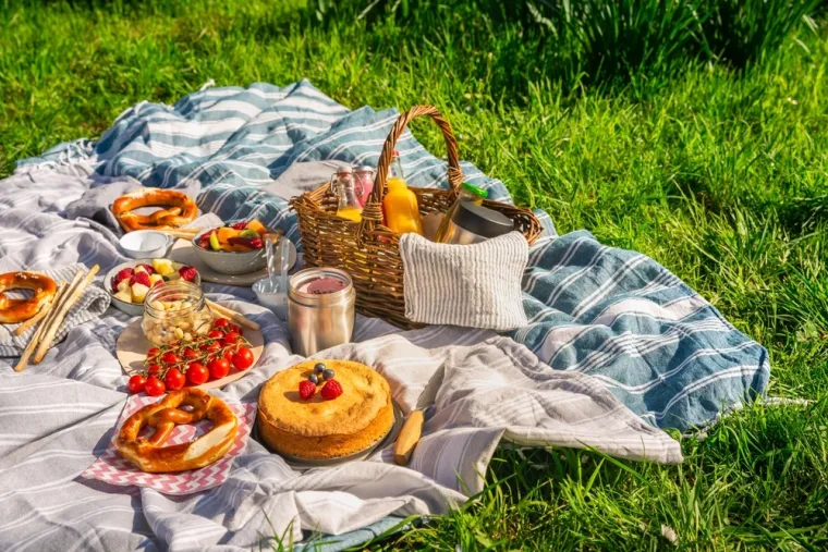 Vodič za savr&scaron;en piknik ovog ljeta: Uz malo truda stvorite nezaboravne uspomene