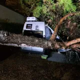 Drvo palo na kamper, ljudi ostali zarobljeni u njemu: Vatrogasci s Cresa podijelili fotografije noćne drame