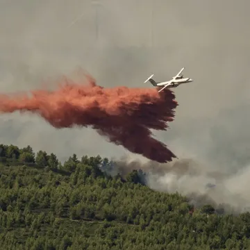 Posljedice toplinskog vala: Izbili požari u Francuskoj, u Nizozemskoj umrlo 480 ljudi
