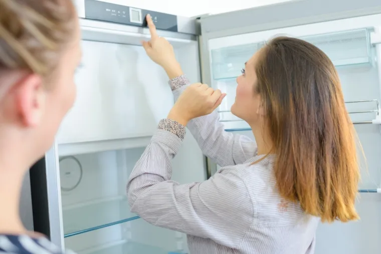 Treba li mijenjati temperaturu hladnjaka tijekom ljeta? Odgovor ovisi o ovim čimbenicima