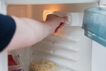 Treba li mijenjati temperaturu hladnjaka tijekom ljeta? Odgovor ovisi o ovim čimbenicima