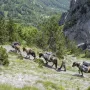 Nekad zaboravljena, a danas je među najpoželjnijim lokacijama ne samo zbog niskih cijena