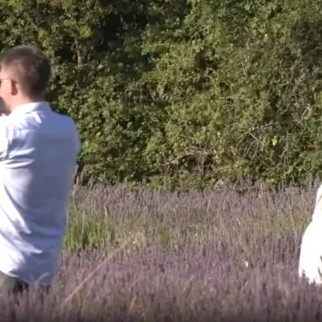 Ma kakva Provansa! Posjetili smo mirisni raj u srcu Istre: 'To je cjelogodi&scaron;nji posao'