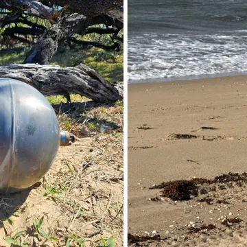 Otkrivena tajna misterioznih kugli na plaži, vlasti građanima: 'Ne dirajte ih i udaljite se'