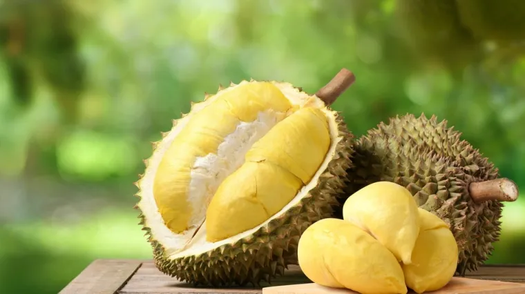 [KVIZ] Doznaj jesi li znalac koji može brasturiti na pitanjima o durian voću