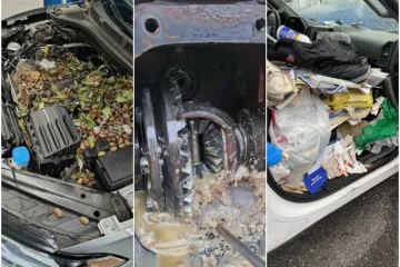 Najodvratnije stvari koje su mehaničari prona&scaron;li u autima: Prizori nisu za one slabog želuca