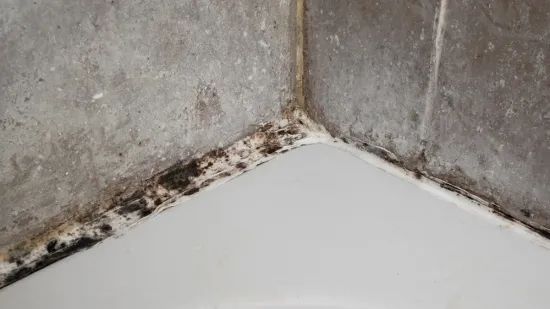 Uklonite tvrdokorne plijesni sa silikona u tu&scaron; kabini: Potreban vam je jeftin sastojak