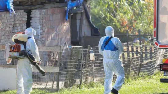 Hrvatska poo&scaron;trila mjere protiv afričke svinjske kuge, &scaron;to će na ovo reći uzgajivači?