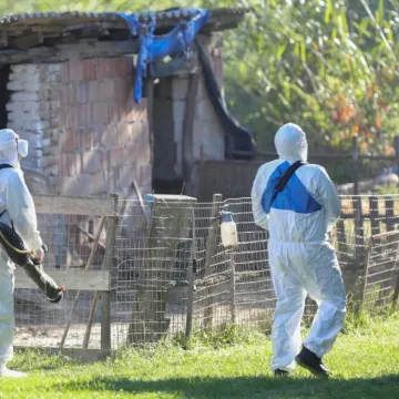 Hrvatska poo&scaron;trila mjere protiv afričke svinjske kuge, &scaron;to će na ovo reći uzgajivači?