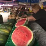 Slavonci otkrivaju koja su tri znaka da je lubenica savr&scaron;eno zrela: 'Brk ne laže!'