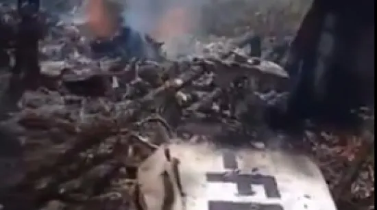 Avion se sru&scaron;io u grmlje, svi su poginuli: &Scaron;iri se snimka, ostala je samo olupina