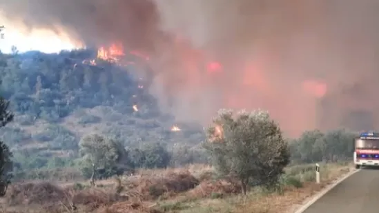 Grom izazvao požar na Čiovu, buknulo i na jo&scaron; nekoliko lokacija na Jadranu