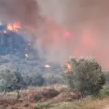 Grom izazvao požar na Čiovu, buknulo i na jo&scaron; nekoliko lokacija na Jadranu