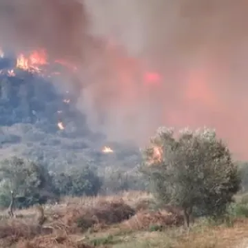 Grom izazvao požar na Čiovu, buknulo i na jo&scaron; nekoliko lokacija na Jadranu