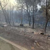 Smilovalo se nebo: Ki&scaron;a pomogla vatrogascima na Korčuli, pogledajte prizore nakon buktinje