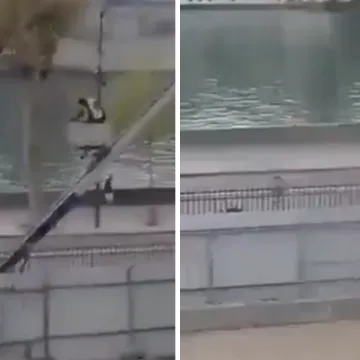 Osumnjičeni za 'pljačku stoljeća' u Louvreu priznao: 'Nikad ne bih kročio tamo da sam znao'