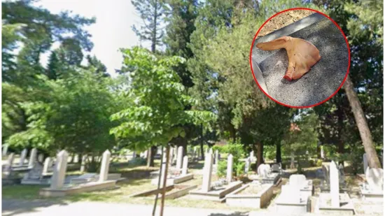 Sramota u srcu Mostara! Uz grobove osvanula svinjska glava: 'Ovo je civilizacijski sunovrat!'