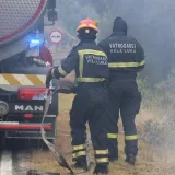 Zbrajaju se &scaron;tete na Korčuli nakon velikog požara: 'Užasnula sam se!