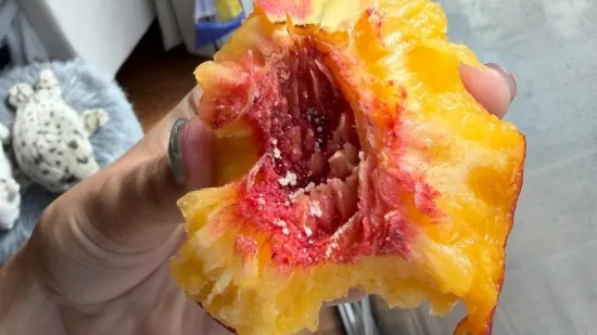 Naletjela je na nekakve bijele grudice u breskvi i zapitala se je li bilo pametno to pojesti