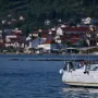I dostupan i skriven: Otok nadomak Zadra koji čuva priče o carskom ulju i hrabrim ženama