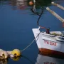 I dostupan i skriven: Otok nadomak Zadra koji čuva priče o carskom ulju i hrabrim ženama