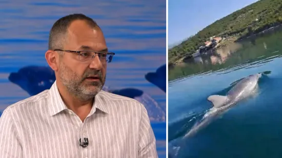 Ako sretnete Olivera u moru, evo &scaron;to nikako nemojte raditi: 'Zabrinjavajuće se pona&scaron;a'
