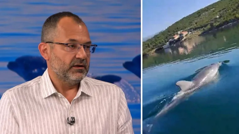 Ako sretnete Olivera u moru, evo &scaron;to nikako nemojte raditi: 'Zabrinjavajuće se pona&scaron;a'