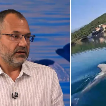 Ako sretnete Olivera u moru, evo &scaron;to nikako nemojte raditi: 'Zabrinjavajuće se pona&scaron;a'