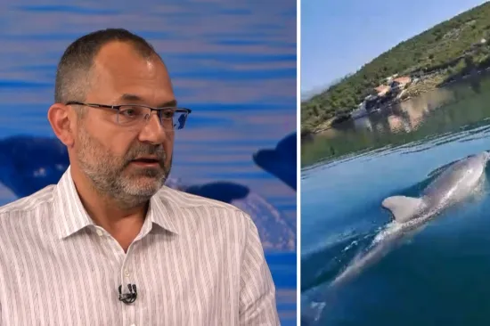 Ako sretnete Olivera u moru, evo &scaron;to nikako nemojte raditi: 'Zabrinjavajuće se pona&scaron;a'