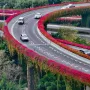 Kao iz bajke: Možda ćete pomisliti da su to cvjetovi, ali ova biljka skriva tajnu
