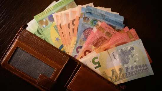 Česi na Lo&scaron;inju prona&scaron;li torbicu s 45.000 eura: Otkriveno &scaron;to su učinili s novcem