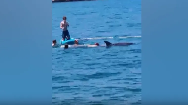 Dupin Oliver ne odustaje! Imamo novu snimku: 'Oči u oči s golemim sisavcem'