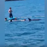 Dupin Oliver ne odustaje! Imamo novu snimku: 'Oči u oči s golemim sisavcem'
