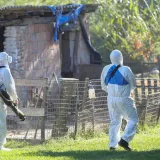 Novo žari&scaron;te virusa na granici s Hrvatskom: 'Podaci s terena nisu dobri'