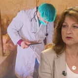 Karačić priznala: 'Inspektorat ima problema s kapacitetima u borbi protiv svinjske kuge'